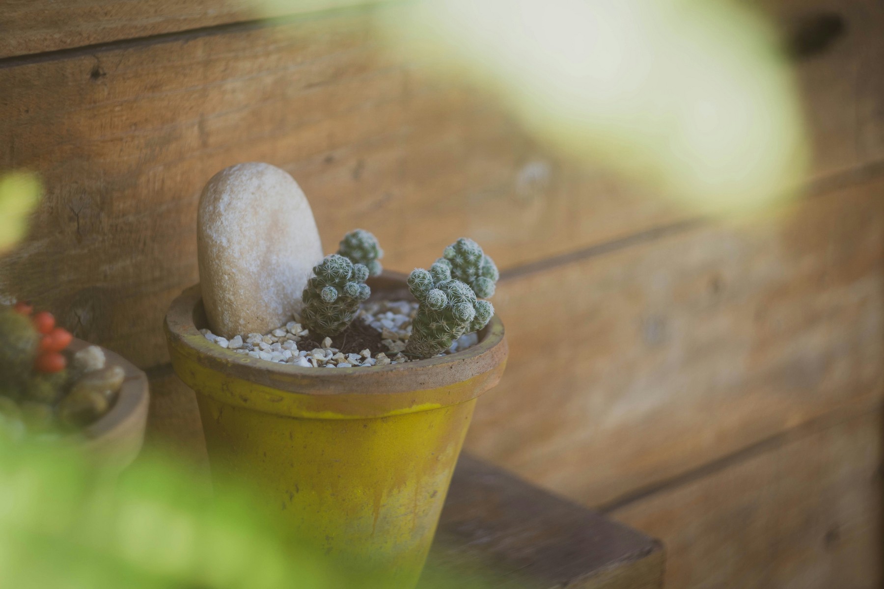 Quarzsand als Abdeckung auf Blumenerde im Topf