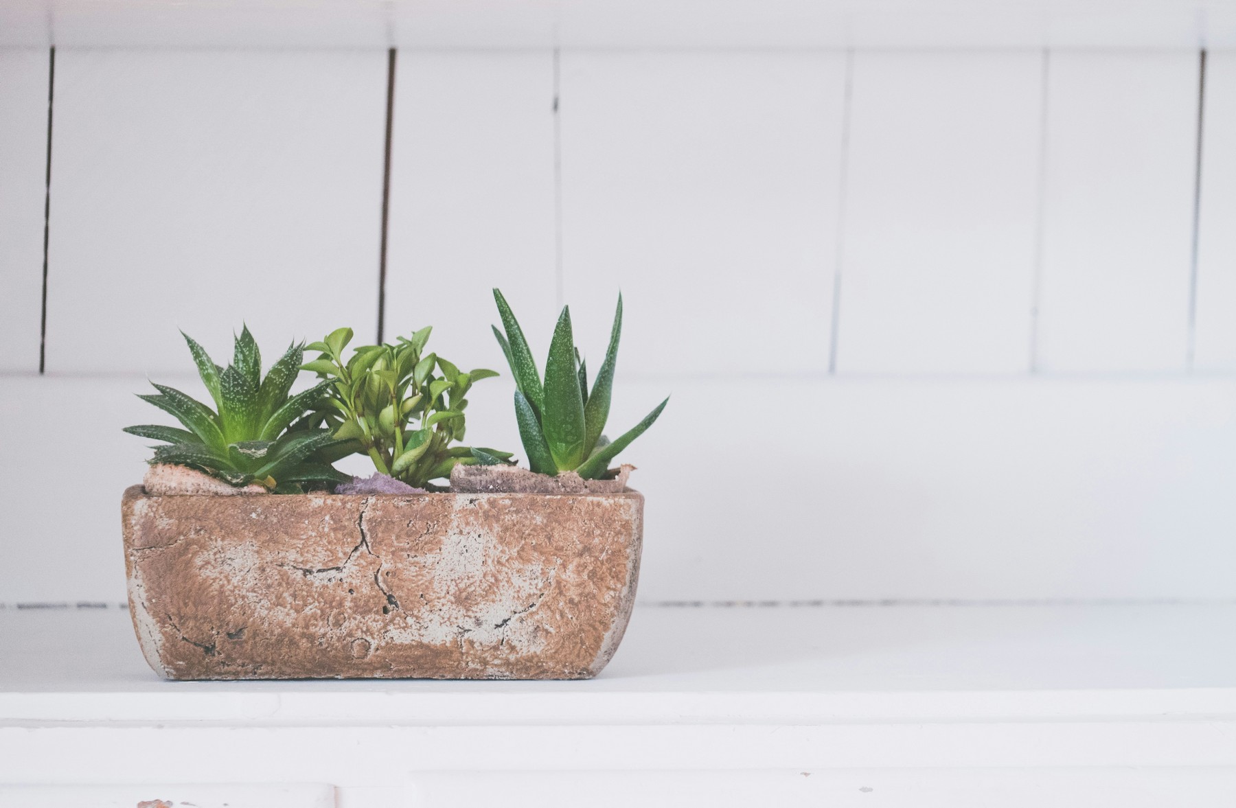 Sand wird mit Blumenerde in einem Topf vermischt